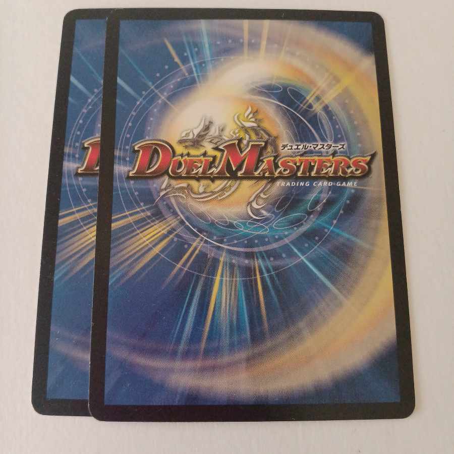 Secret Fist Katsudon-breaking R 33/110