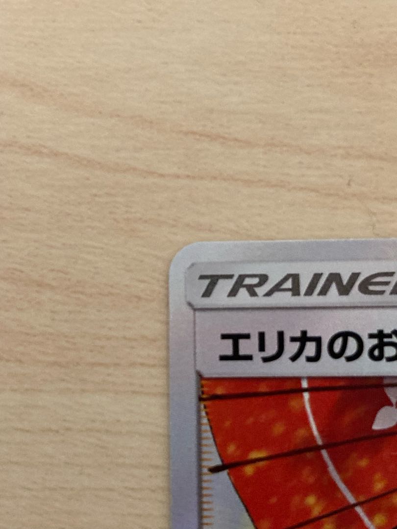 Erika's Hospitality SR 190/173