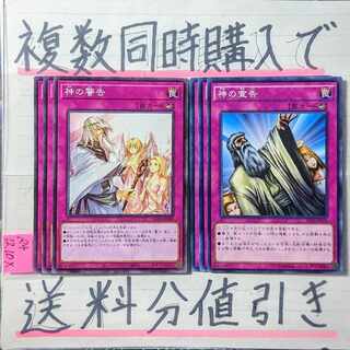 【複数同時購入で送料分値引き】汎用罠6枚セット