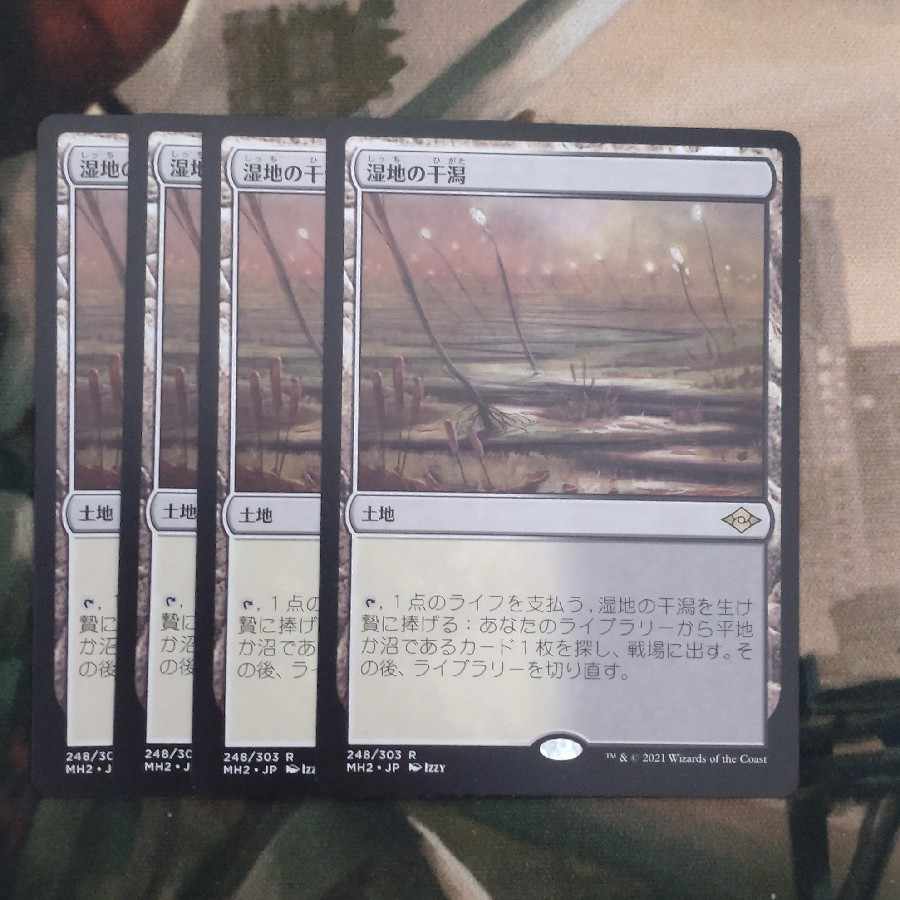 Marsh Flats Rare 219/249 Summary