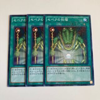 8174 セベクの祝福 ミレニアム JPY47