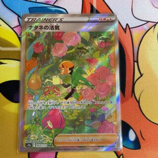 Vivify SAR 243/172 in Gardenia