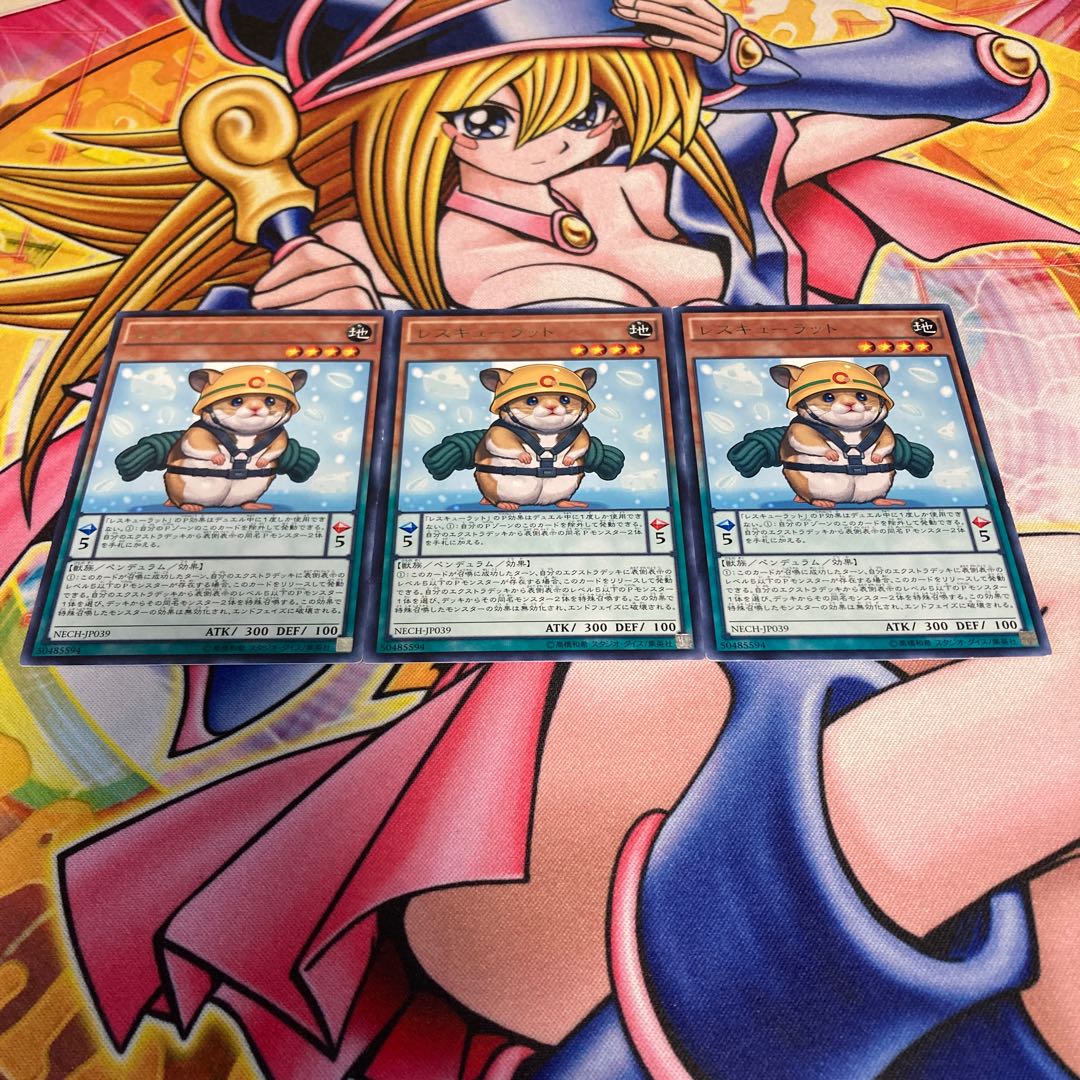 Rescue Hamster Rare with scratches JP039