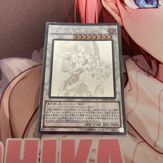 Enlightenment Paladin holographic rare JP047