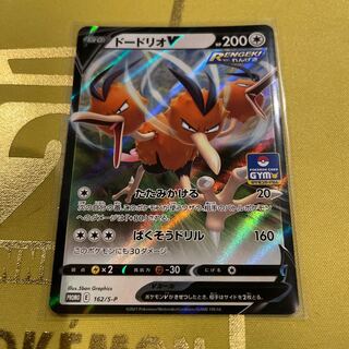 DodrioV PROMO 162/S-P