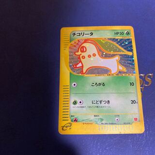 チコリータ」の激安通販 | magi