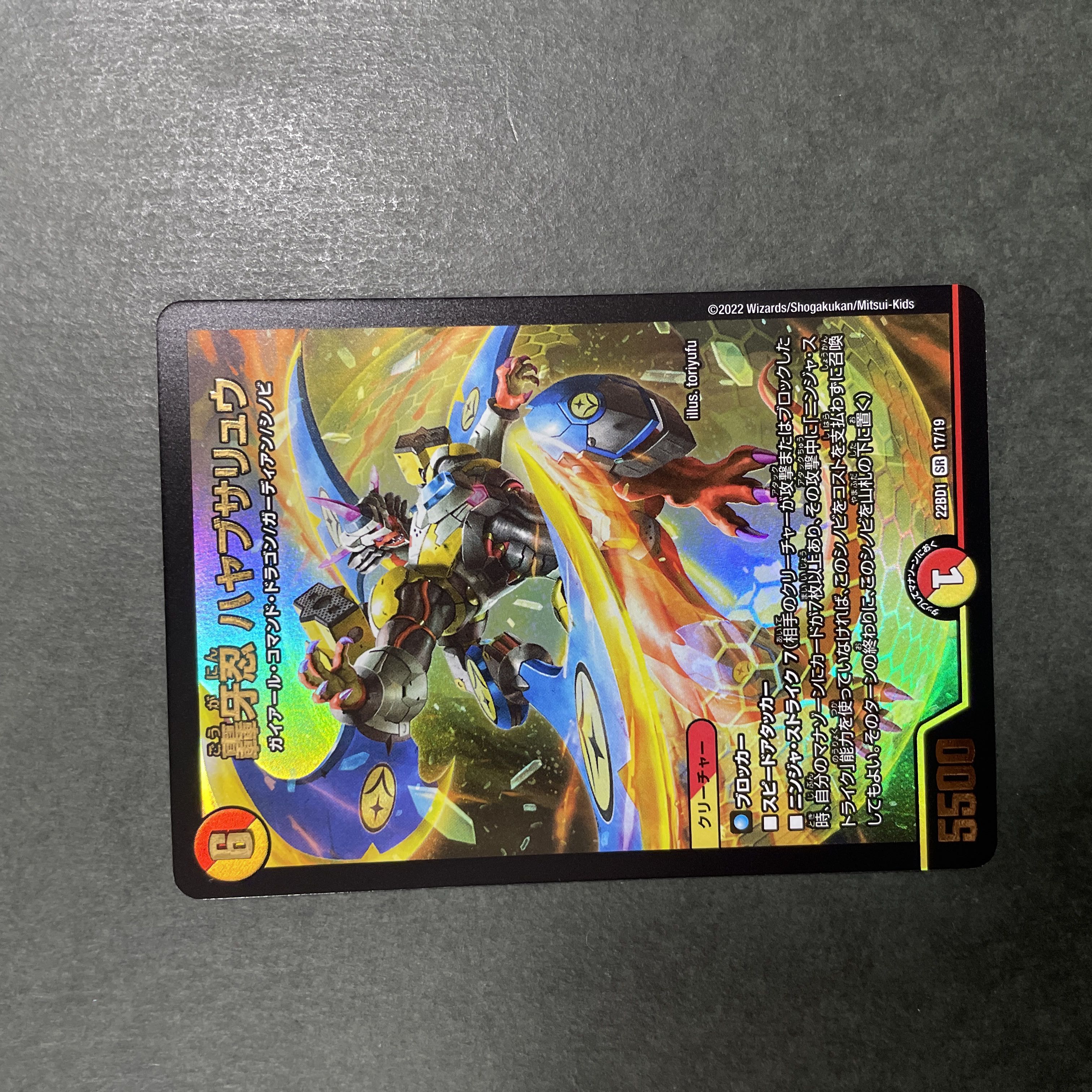 Next Generation Ryuha Glengrassa Leave it to me here, sister!　Roaring Fang Shinobi Hayabusa Ryu