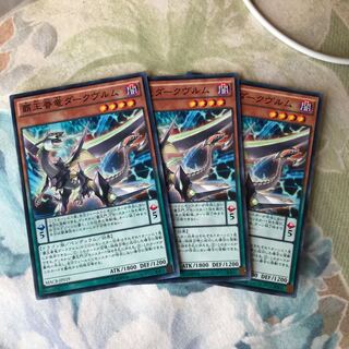 覇王眷竜ダークヴルム