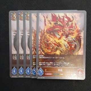 神龍　進化セット