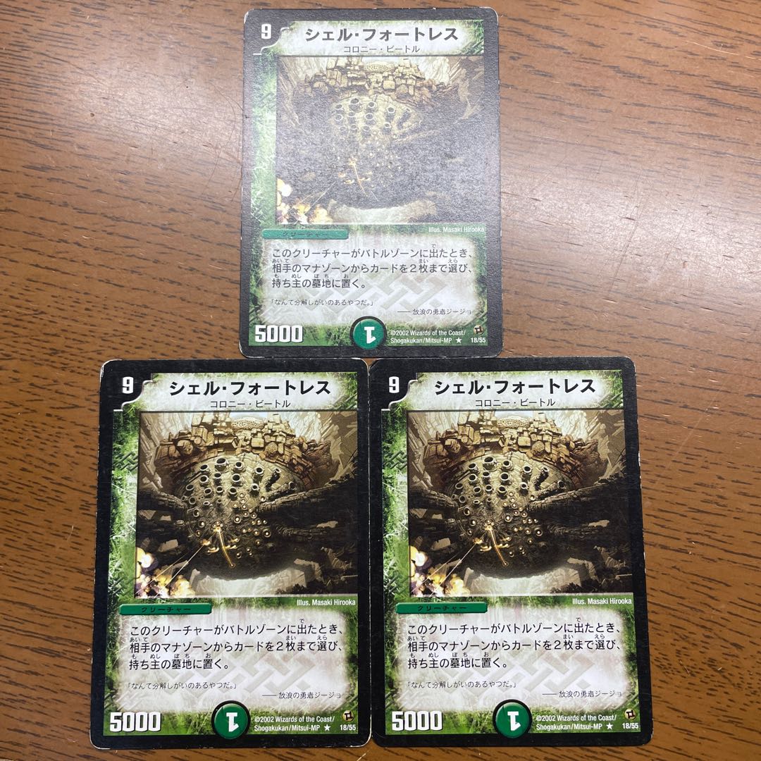 Fortress Shell R 18/55