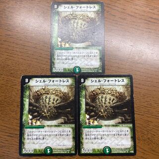 Fortress Shell R 18/55