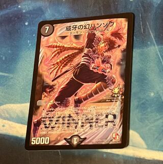 Phantom Hanzo VR P51/Y12 1枚