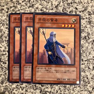 Sage of Stillness Normal JP016