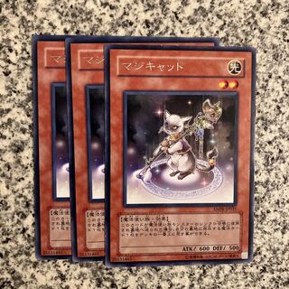Magicat Rare JP031