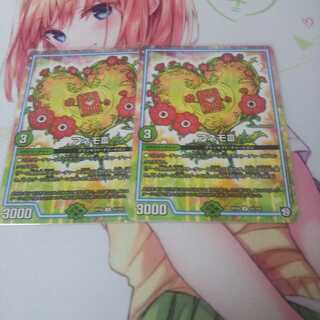 アネモ 未使用②