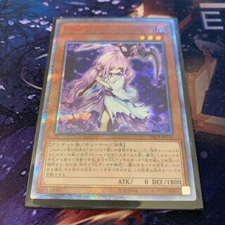 【イベント割】浮幽さくら　20thシク