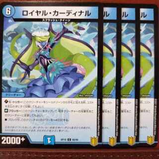 kns251-253.447 set discount royal cardinal c 66/95