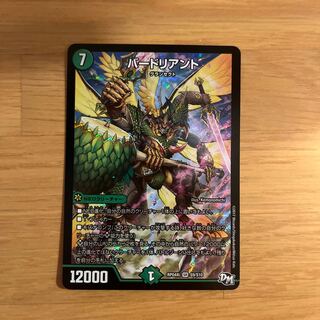 バードリアント SR S9/S10 1枚