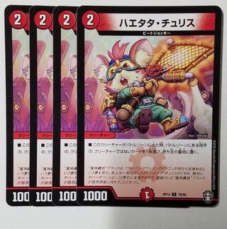 Haetata Chu Squirrel C 78/95