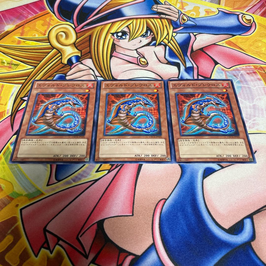 Evoltile Pleuro Normal JP025