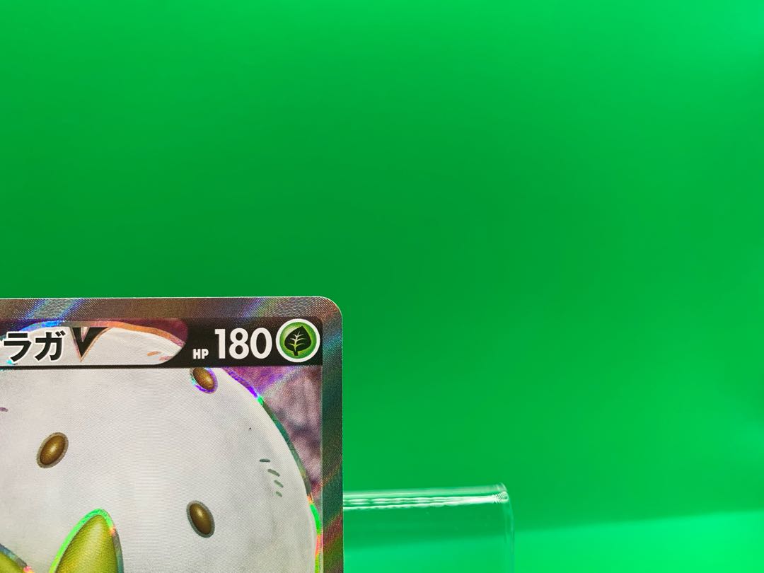 ワタシラガV SR 097/096