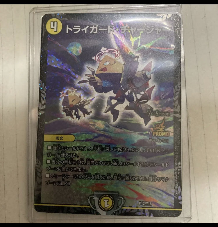 Triguard Charger P12/Y18 cs promo