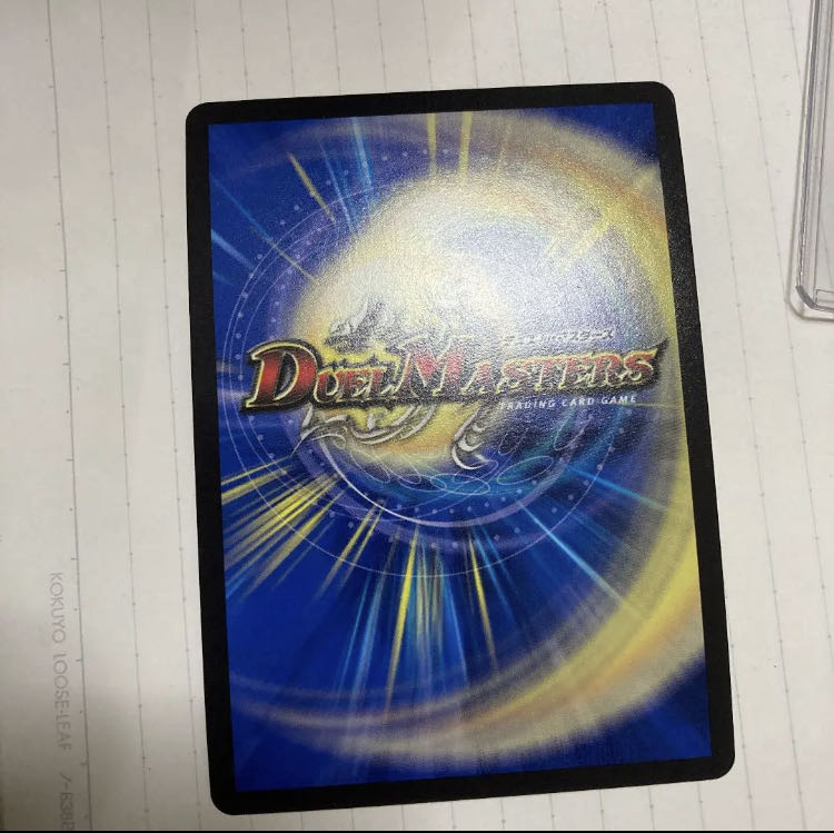 Triguard Charger P12/Y18 cs promo