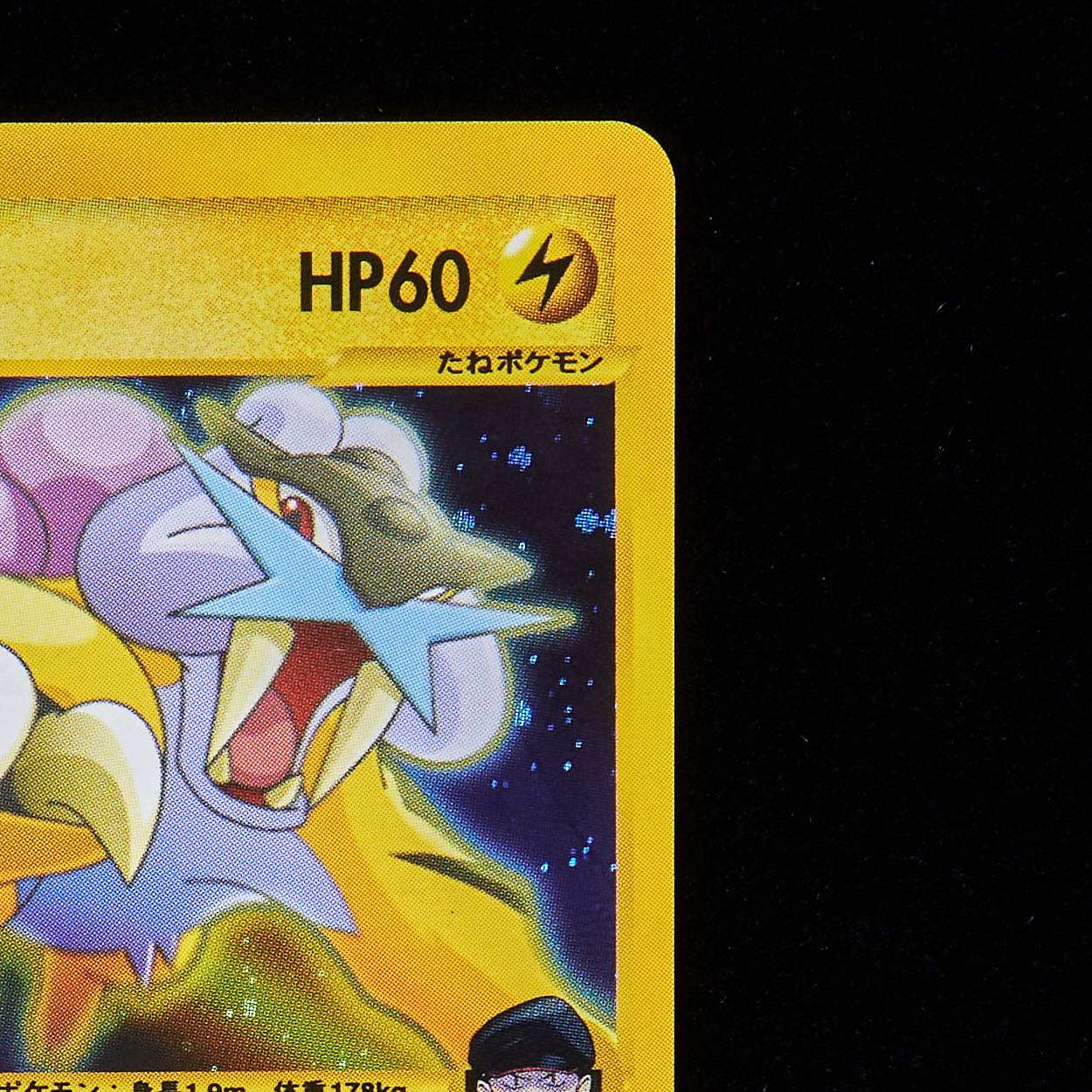 R団のライコウ ★ ポケモンカード★VS R団のライコウ ☆ [ポケモンカード☆VS] 094/141 買取 | ポケモン