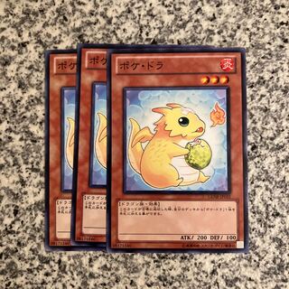 Poki Draco Normal JP031