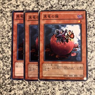 Black Dragon's Chick Normal JP007