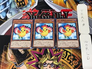 BF-南風のアウステル 5 レア 3枚セット てら