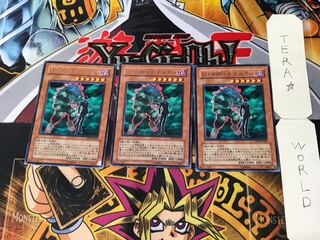 Destiny HERO - Double Dude 3 Rare Set of 3 Tera