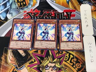 Performapal Corn 2 rare, set of 3 Tera.