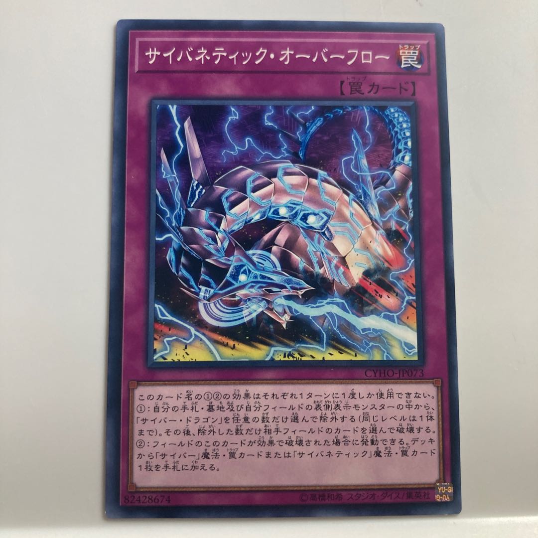 Cybernetic Overflow $2562