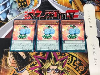 EMチアモール 1 レア 3枚セット てら