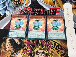 EMチアモール 2 レア 3枚セット てら