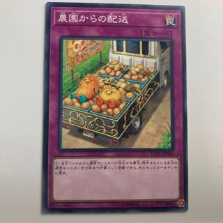 8205 農園からの配送 ノーマル JP003