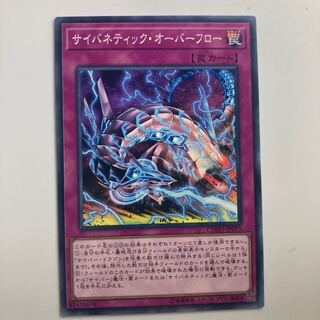 8208 サイバネティック・オーバーフロー ノーマル JP073