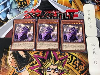 S-Force Pura-Tina 4 rare, set of 3 Tera.