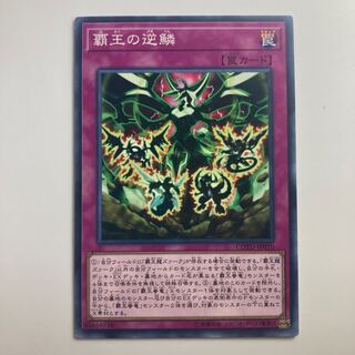 8214 Supreme Rage $2584