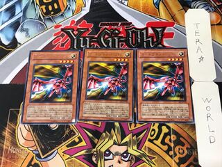 Y-Dragon Head 2 Rare, set of 3 Tera.