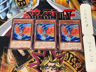 ZW-Phoenix crossbow 1 rare, set of 3 Tera.