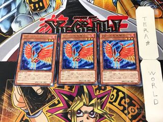 ZW-Phoenix crossbow 3 rare, set of 3 Tera.