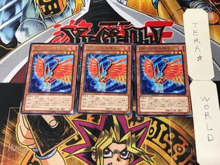 ZW-Phoenix crossbow 4 rare, set of 3 Tera.