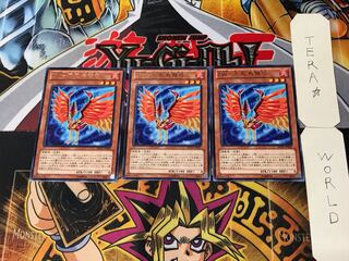 ZW-Phoenix crossbow 5 rare, set of 3 Tera.