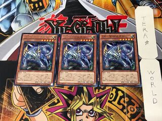 ZW-雷神猛虎剣 5 レア 3枚セット てら