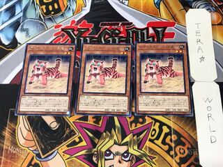 アマゾネスペット仔虎 4 レア 3枚セット てら