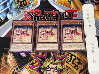 アマゾネスペット仔虎 5 レア 3枚セット てら