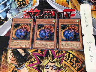 Ultimate Insect LV1 3 Rare Set of 3 Tera.