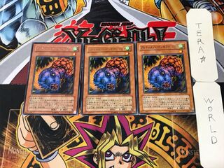 Ultimate Insect LV1 4 Rare Set of 3 Tera.